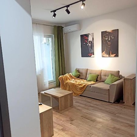 Stylish, Modern 2 Rooms Flat With River View, Near Presidential Palace Букурещ Екстериор снимка